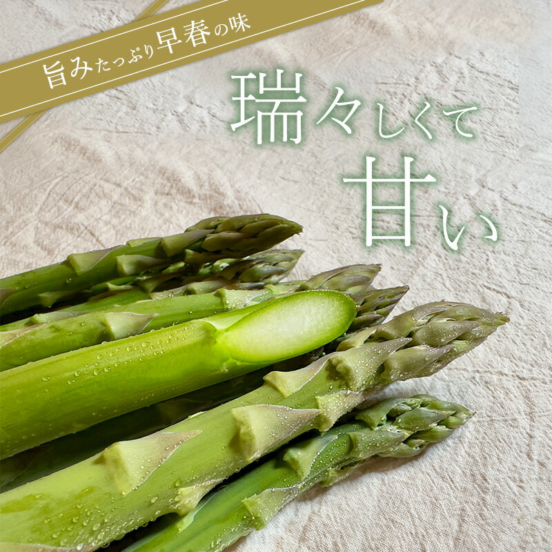 【ふるさと納税】【 2025年 発送】 先行予約 北海道 上富良野産 アスパラガス 2L サイズ 900g アスパラ 上富良野町 令和7年発送 先行予約 　お届け：2025年4月以降順次出荷