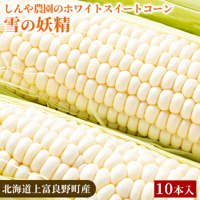 【ふるさと納税】【北海道上富良野町産】しんや農園のホワイトスイートコーン「雪の妖精」10本 野菜 北海道産 とうもろこし 希少 甘みが強い 柔らかい 新鮮 お届け:2025年8月1日~8月30日まで
