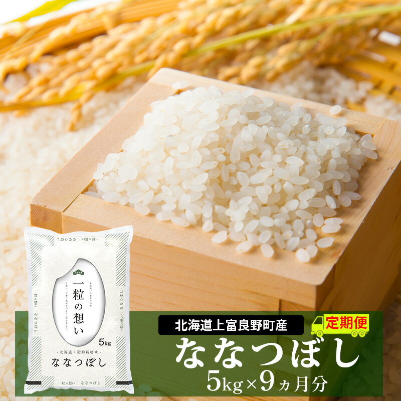 【ふるさと納税】≪9ヵ月定期便≫北海道上富良野町産【ななつぼし】5kg お米 白米 精米 ブランド米 ご飯 おにぎり お弁当 和食 産地直送 甘み 粘り 安全 安心 食卓のサムネイル