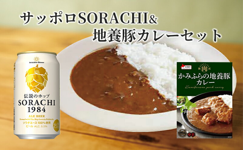 【ふるさと納税】缶ビール(SORACHI1984)8缶＆地養豚カレー4箱セット 北海道 上富良野町 ソラチ1984 地ビール ビール カレー 缶　【 お酒 ビール サッポロビール 地ビール 惣菜 レトルト インスタンスカレー ポークカレー 】