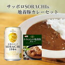 【ふるさと納税】缶ビール(SORACHI1984)8缶＆地養豚カレー4箱セット 北海道 上富良野町 ソラチ1984 地ビール ビール カレー 缶 【 お酒 ビール サッポロビール 地ビール 惣菜 レトルト インスタンスカレー ポークカレー 】