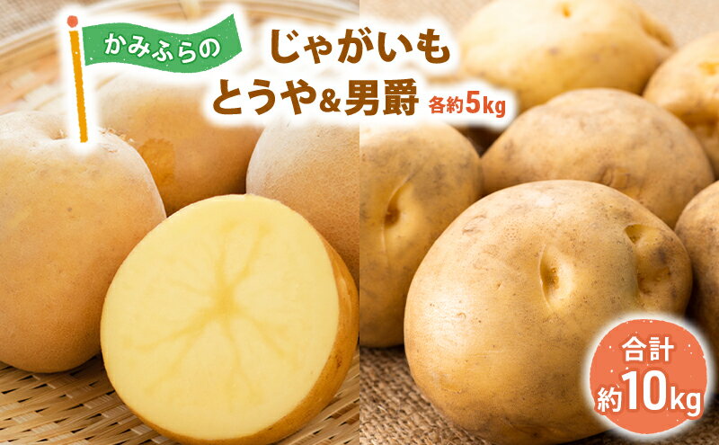 【ふるさと納税】かみふらのじゃがいも「とうや ＆ 男爵」各5kg　【 野菜 旬の野菜 北海道産 北海道野菜 国産 国産野菜 グルメ 食材 ポテト 北海道産じゃがいも 】　お届け：2024年10月上旬～下旬まで