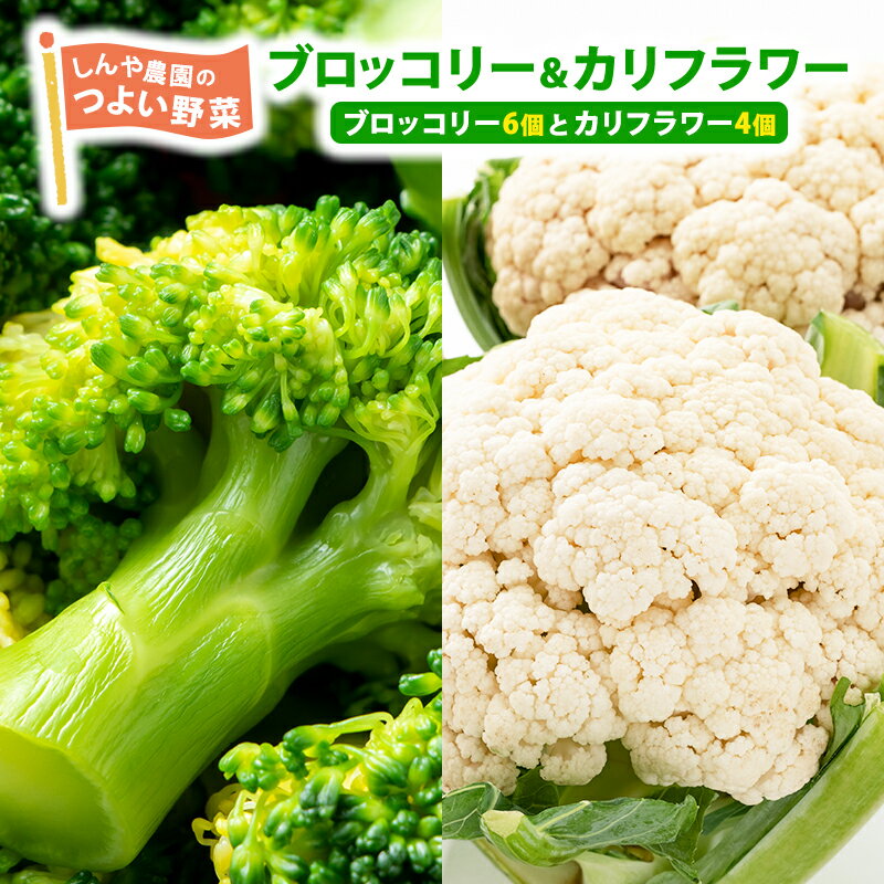 32位! 口コミ数「0件」評価「0」しんや農園の つよい野菜「ブロッコリー＆カリフラワー」　【 野菜 旬の野菜 北海道産 北海道野菜 国産 国産野菜 グルメ 食材 新鮮 新鮮野･･･ 