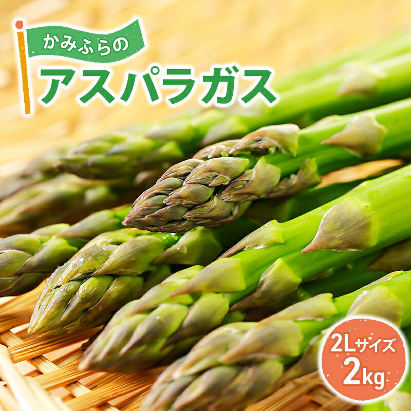 かみふらのアスパラガス 2Lサイズ 2kg [ 野菜 旬の野菜 北海道産 北海道野菜 国産 国産野菜 グルメ 食材 グリーンアスパラガス ] お届け:2024年4月中旬〜5月上旬まで