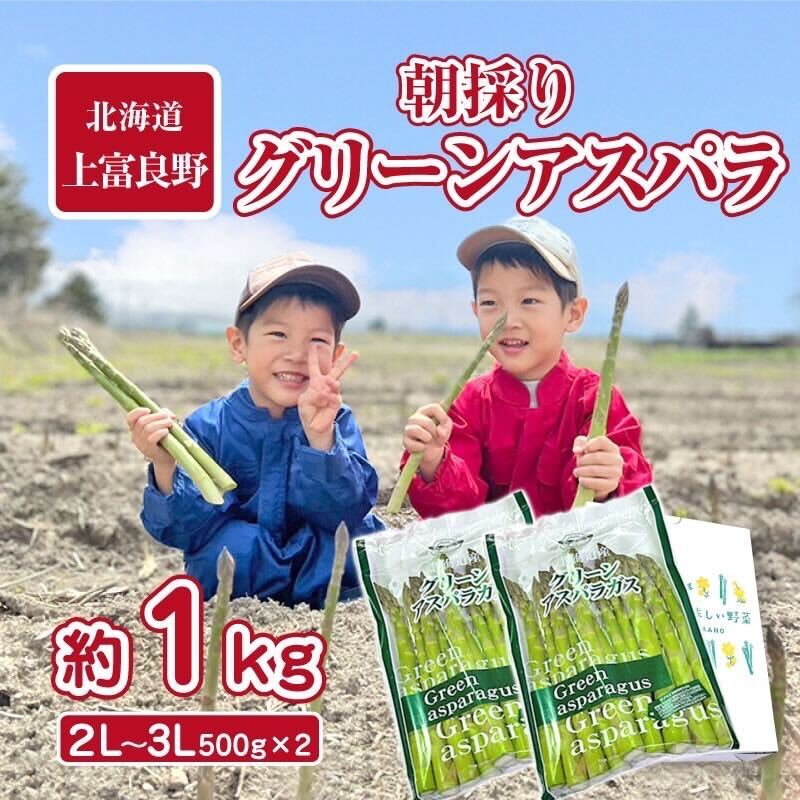 【ふるさと納税】【2024年分先行予約】アスパラ 専門農家の特選グリーンアスパラ 1kg（2L～3L）アスパラガス 原農園 あすぱら 野菜 北海道 上富良野町 令和6年発送　【上富良野町】　お届け：2024年5月中旬～5月末まで