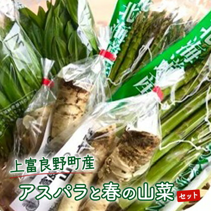 上富良野産 アスパラと春の山菜セット　【上富良野町】　お届け：2024年4月下旬～5月中旬まで