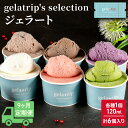 【ふるさと納税】≪9ヵ月定期便≫gelatrip's selection ジェラート6個BOX