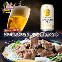【ふるさと納税】北海道上富良野 ジンギスカン&ビール お楽しみセット
