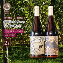 【ふるさと納税】【野生酵母&無濾過】赤ワイン2本 混醸&全房仕込み 多田ワイナリー 北海道 上富良野町 ワイン セット お酒 アルコール