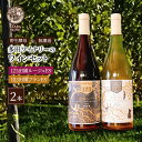 【ふるさと納税】【野生酵母】混醸ワイン 赤白 計2本 多田ワイナリー 北海道 上富良野町 ワイン 赤ワイン 白ワイン セット お酒 アルコール