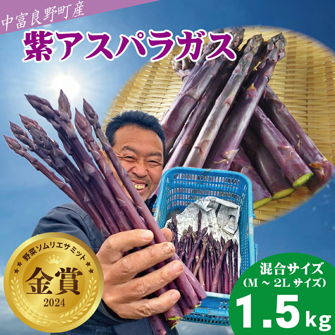 【ふるさと納税】【2025年発送】【中富良野町寺坂農園】紫アスパラガス(1.5kg)
