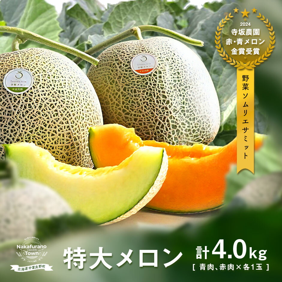 【ふるさと納税】【2026年発送】【中富良野町】寺坂メロン赤青セット2玉入...