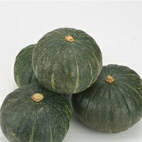 かぼちゃ(粉質系)5〜6玉 10kg