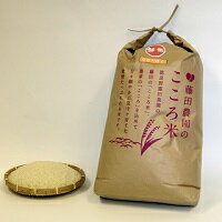 【ふるさと納税】【2022年度米】お米ななつぼし10kg（玄米）