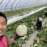 【ふるさと納税】【中富良野町】寺坂メロン　2玉入り（大玉）