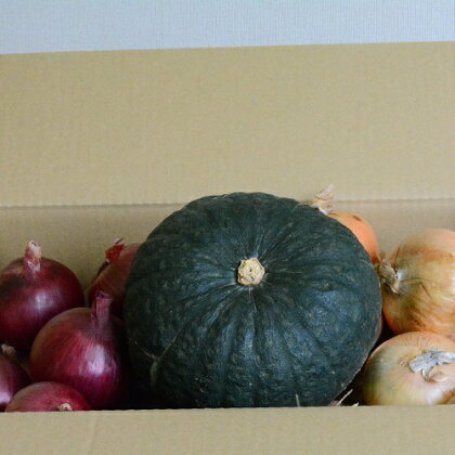 【R5発送】秋野菜セット（玉ねぎ8kg、紫玉ねぎ2kg、かぼちゃ1玉）