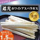 【ふるさと納税】【2026年発送】【中富良野町寺坂農園】遮光ホワイトアスパラガス(1.5kg)