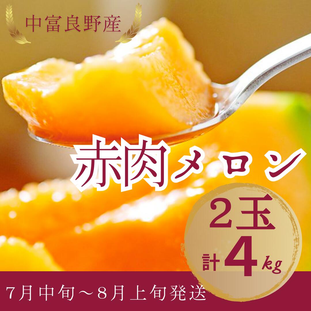 【ふるさと納税】【2025年発送】中富良野産赤肉メロン2玉　計4kgのサムネイル