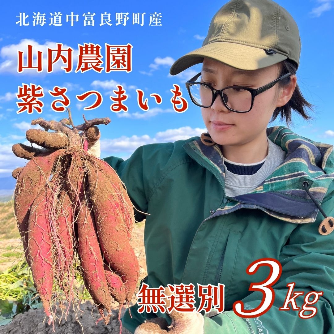 [2026年発送]山内農園の紫さつまいも 無選別 3kg