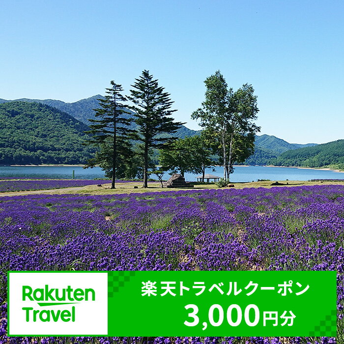 【ふるさと納税】北海道南富良野町の対象施設で使える 楽天トラベルクーポン 寄付額10,000円（クーポン 3,000円分）【高級宿・宿泊券・旅行・ホテル・宿泊券・旅行・宿泊券】