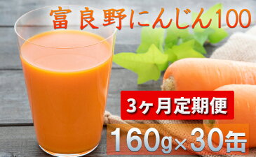 【ふるさと納税】【3ヵ月連続お届け】JAふらの人参ジュース【富良野にんじん100】30缶セット 【定期便・果汁飲料・野菜飲料・にんじんジュース・人参・野菜/人参・飲料類・野菜ジュース・ニンジン・缶】