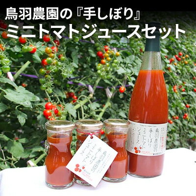 野菜ジュース 【ふるさと納税】鳥羽農園の『手しぼり』ミニトマトジュース セット 北海道 南富良野町 トマト ミニトマト ジュース 飲み物 飲料 野菜 野菜ジュース 詰合せ 贈り物 ギフト　【トマトジュース リコピン 野菜 飲料 ジュース とまと セット】