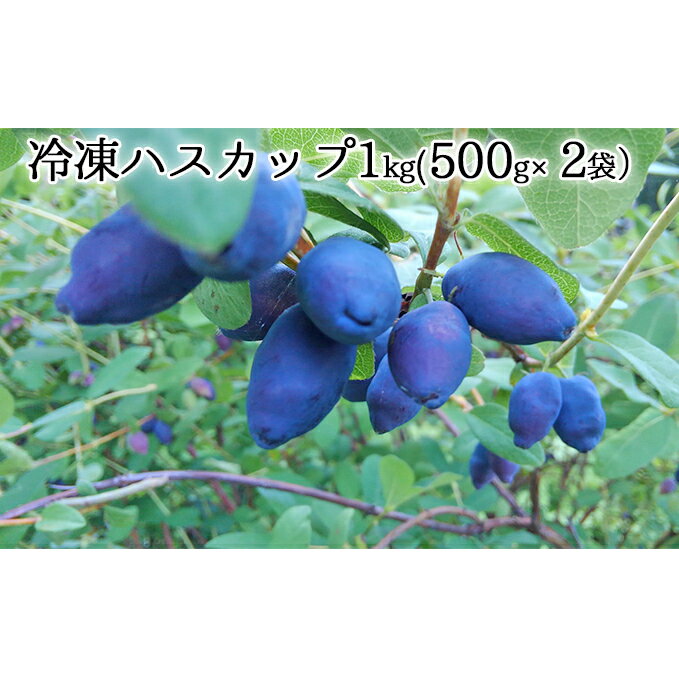 自家農園産・冷凍ハスカップ1kg(500g×2袋) 北海道 南富良野町 ハスカップ 果実 冷凍 大容量 冷凍ハスカップ 果物 フルーツ セット 詰め合わせ お届け:2025年7月中旬頃より順次発送