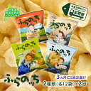  JAふらの ポテトチップス 2種類(各12袋) 定期便 スナック お菓子 詰合せ コンソメ うすしお のり塩 ガーリック 北海道 ポテチ　