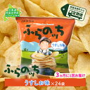 23位! 口コミ数「0件」評価「0」【3ヵ月に1回お届け】JAふらのポテトチップス【ふらのっち】うすしお味24袋 ふらの農業協同組合(南富良野町) ジャガイモ うすしお 芋 菓･･･ 