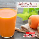 【ふるさと納税】にんじんジュース 定期便 6ヶ月 北海道 富良野にんじん100 30缶 セット JAふらの にんじん ジュース 野菜ジュース キャロットジュース...