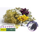 【ふるさと納税】<おうちでアレンジ!>ドライフラワー(黄色系)プレゼント付 北海道 南富良野町 ドライフラワー 花 お花 華 花束 ファッション小物 インテリア...