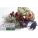 【ふるさと納税】<おうちでアレンジ!>ドライフラワー(白色系)プレゼント付 北海道 南富良野町 ドライフラワー 花 お花 華 花束 ファッション小物 インテリア...