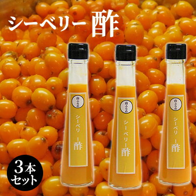 【ふるさと納税】シーベリー酢 3本セット 北海道 南富良野町 シーベリー ベリー 酢 調味料 セット 詰合せ ドレッシング ソース　【たれ 調味料 ドレッシング たれ シーベリー 果実酢 酢】