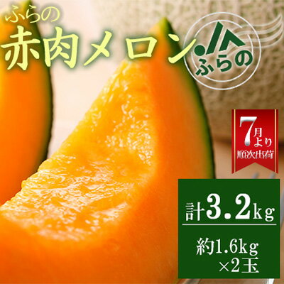 楽天ふるさと納税　【ふるさと納税】◆JAふらの◆厳選！ふらの赤肉メロン1.6kg×2玉 メロン めろん 富良野メロン 果物 くだもの フルーツ 富良野 デザート 北海道 贈り物 ギフト　【果物類 フルーツ メロン赤肉 赤肉メロン メロン】　お届け：2024年7月中旬～9月下旬