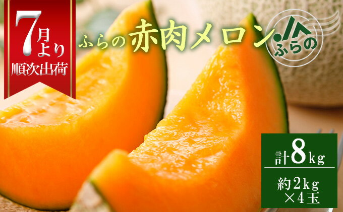 【ふるさと納税】◆JAふらの◆厳選！ふらの赤肉メロン2kg×4玉 メロン めろん 富良野メロン 果物 くだもの フルーツ 富良野 デザート 北海道 贈り物 ギフト　【果物類 フルーツ メロン赤肉 赤肉メロン メロン】　お届け：2024年7月中旬～9月下旬