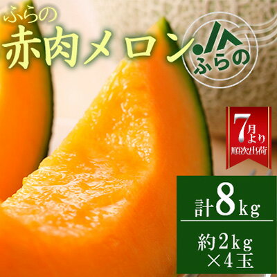 2位! 口コミ数「1件」評価「5」◆JAふらの◆厳選！ふらの赤肉メロン2kg×4玉 メロン めろん 富良野メロン 果物 くだもの フルーツ 富良野 デザート 北海道 贈り物 ･･･ 