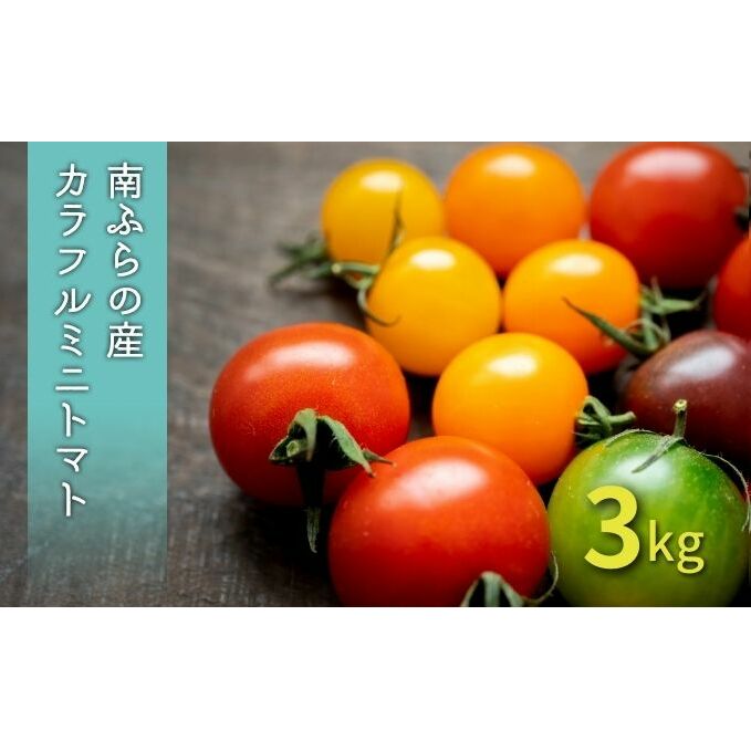【ふるさと納税】カラフル ミニトマト セット 3kg ≪北海道南富良野産≫ 北海道 南富良野町 2025年発送 先行予約 トマト 詰合せ ミックス ミックストマ...