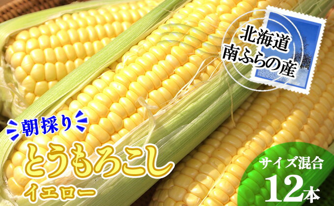 【ふるさと納税】南ふらの産 朝採り とうもろこし (イエロー)【サイズ混合】12本 北海道 南富良野町 トウモロコシ とうきび トウキビ 2024年発送 先行予約　【野菜 とうもろこし トウモロコシ 12本 コーン】　お届け：2024年7月下旬～8月上旬