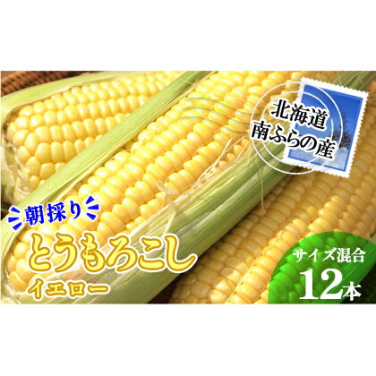 南ふらの産 朝採り とうもろこし (イエロー)【サイズ混合】12本 北海道 南富良野町 トウモロコシ とうきび トウキビ 2024年発送 先行予約　【野菜 とうもろこし トウモロコシ 12本 コーン】　お届け：2024年7月下旬～8月上旬