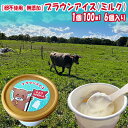 【ふるさと納税】【卵不使用・無添加】ブラウンアイス(100ml)6個セット 北海道 南富良野町 アイス アイスクリーム デザート 無添加 バニラアイス バニラ ...