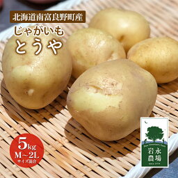 【ふるさと納税】北海道 南富良野町 じゃがいも「とうや」5kg(M～2Lサイズ混合) じゃがいも ジャガイモ とうや 野菜 やさい　【 北海道野菜 北海道産じゃがいも 】　お届け：2024年11月上旬より順次発送