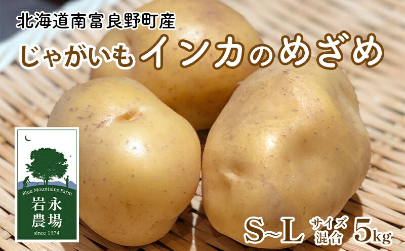 【ふるさと納税】北海道 南富良野町 じゃがいも「インカのめざめ」5kg(S～Lサイズ混合) じゃがいも ジャガイモ いんか インカ 野菜 やさい　【 北海道野菜 北海道産じゃがいも 】　お届け：2024年11月上旬より順次発送