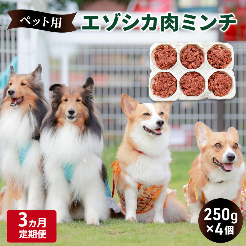 【ふるさと納税】3ヵ月定期便 ペットのおやつ【エゾシカ肉のミンチ】250g×4 南富フーズ株式会社 鹿肉 ...