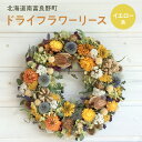 【ふるさと納税】イエロー系 ドライフラワー リース ☆ 富良野 ラベンダー 入り ( 25cm ) ドライフラワー リース 花 ギフト ナチュラル