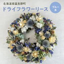 【ふるさと納税】ブルー系 ドライフラワー リース ☆ 富良野 ラベンダー 入り ( 25cm ) ドライフラワー リース 花 ギフト ナチュラル