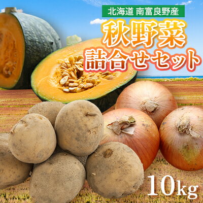 【ふるさと納税】秋 野菜 詰合せ セット 10kg ≪ 北海道 南富良野産≫ 南富良野町 2024年発送 先行予約 ジャガイモ じゃがいも 玉ねぎ 玉ネギ 玉葱 かぼちゃ カボチャ 南瓜　【じゃがいも 玉ねぎ たまねぎ 野菜 セット 詰合せ】　お届け：2024年9月上旬～10月20日までのサムネイル