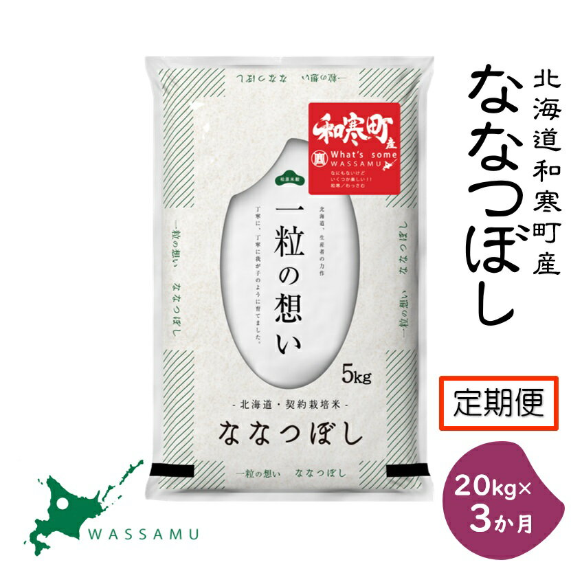【ふるさと納税】【3ヵ月定期便】北海道産ななつぼし20kg(5kg×4袋)