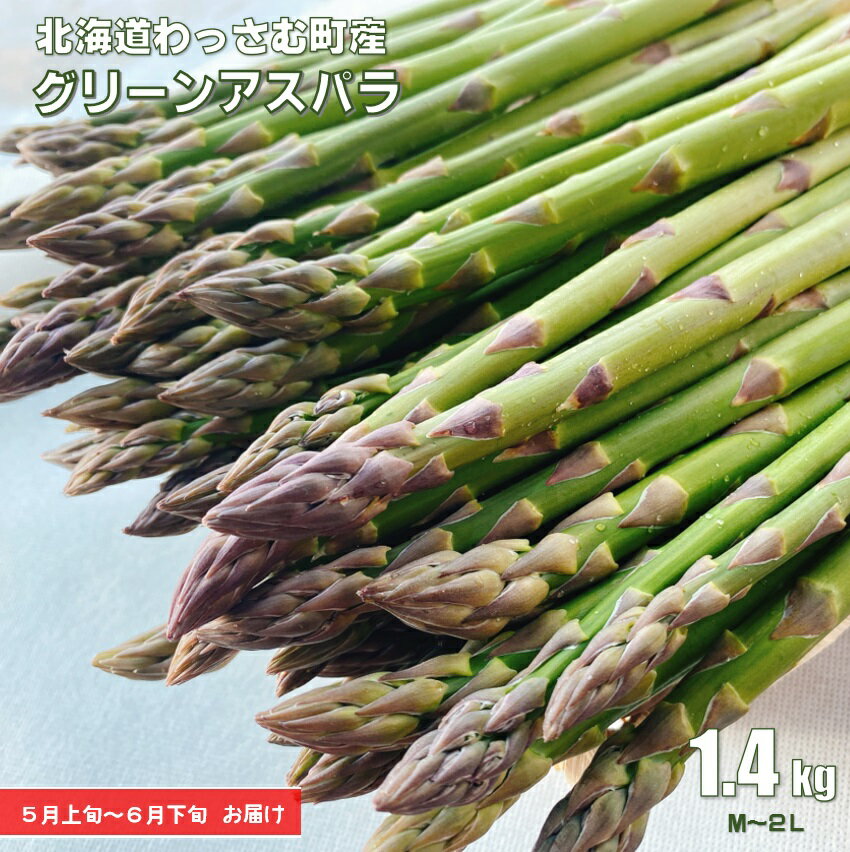 【ふるさと納税】《令和6年産》北海道グリーンアスパラ1.4kg／和寒町産