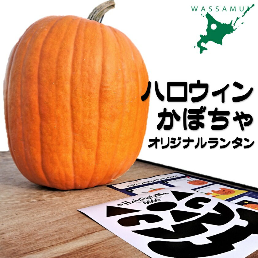 ≪令和6年10月お届け≫ハロウィンかぼちゃ 北海道 ふるさと納税 Halloween グッズ ランタン シール