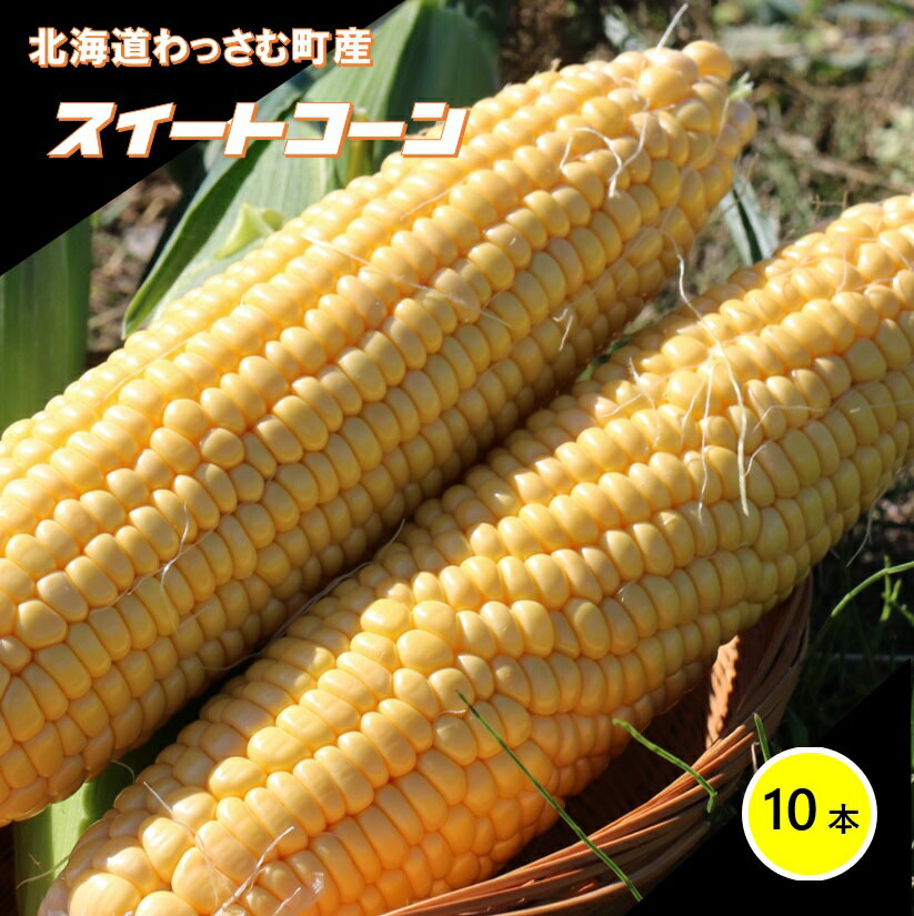 ̣Хȥ٤ݤäޤޤϤ